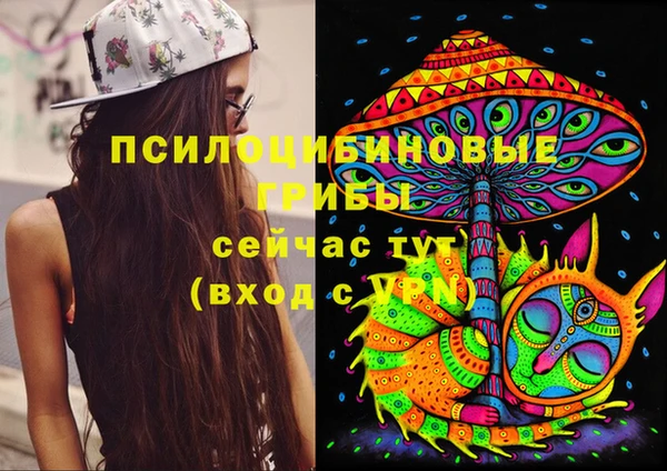 круглые Богородицк