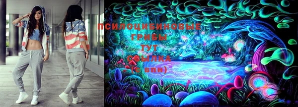 марки nbome Богданович